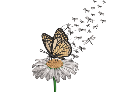 Butterfly and Daisy Embroidery Review